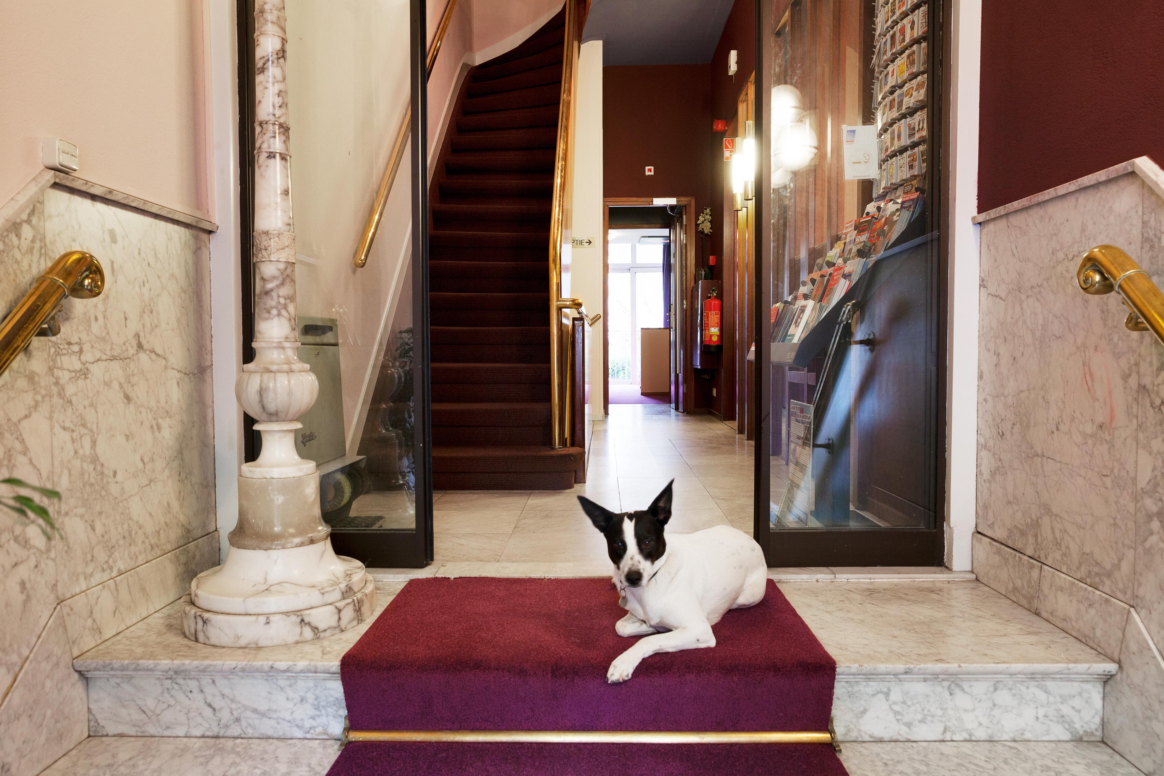Hotel The Neighbour'S Magnolia Amsterdam Bagian luar foto